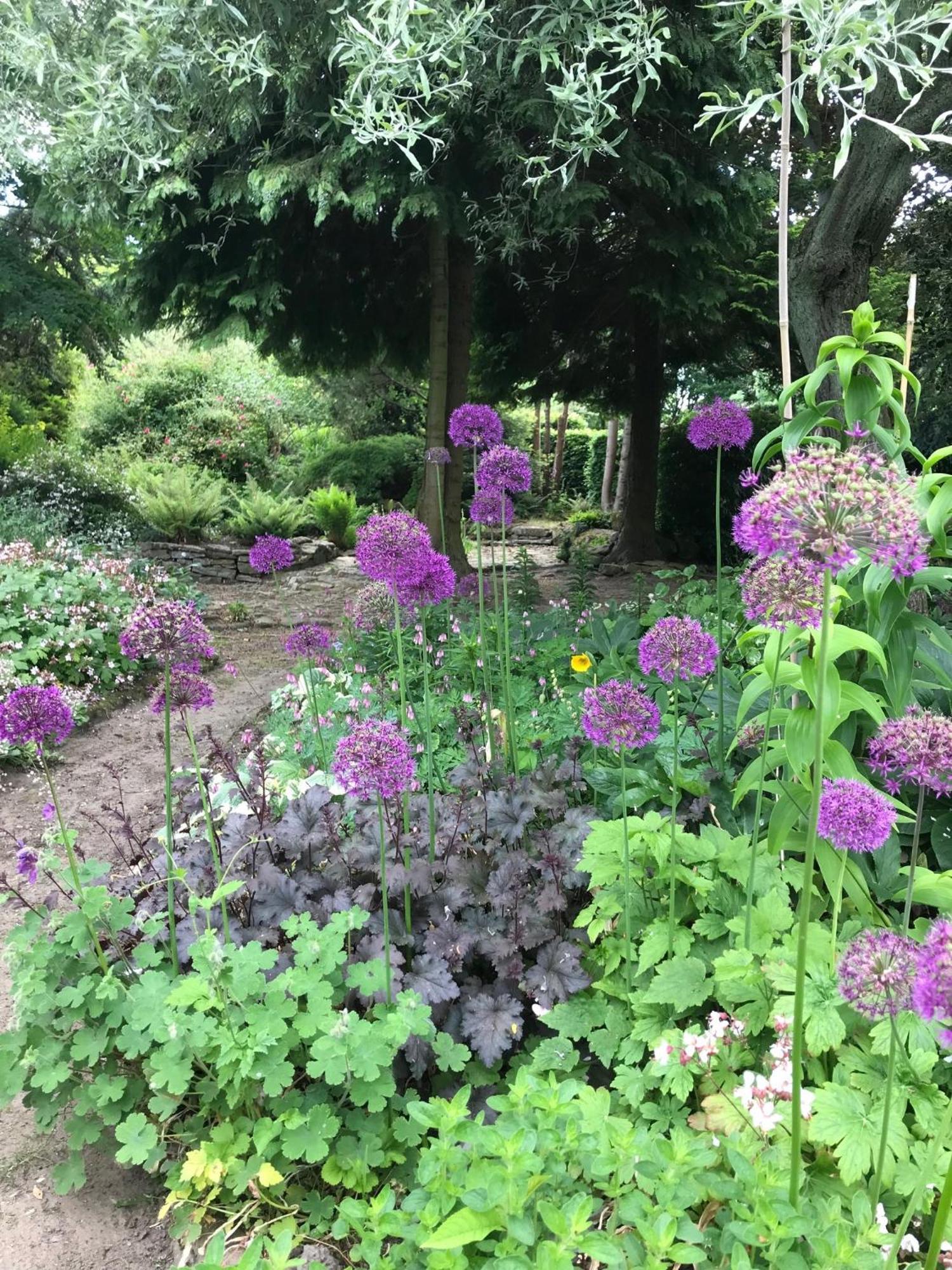 Phlomis Villa York Buitenkant foto